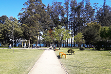 Parque Laguna Grande San Pedro de la Paz | Turismo en Concepción